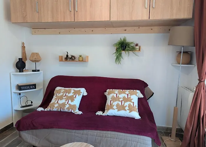 Petit Renove Pres Du Centre * Les Angles (Pyrenees-Orientales)